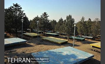 پارک جنگلی سرخه حصار 43