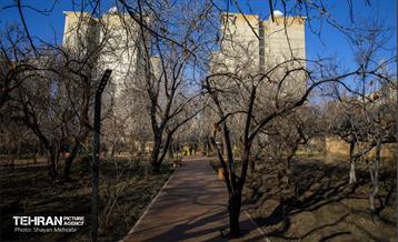 باغ گلاریس 40