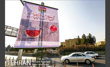 به استقبال شب یلدا همراه با زیباسازی شهر تهران 14