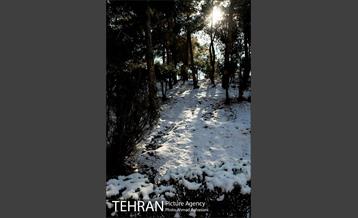 پاییز برفی پارک ملت 3
