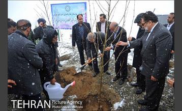 مراسم روز درختکاری با حضور شهردار تهران و رئیس مجلس 22