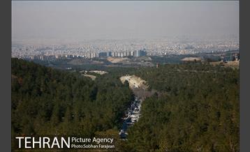 روز طبیعت در بوستان جنگلی یاس 13