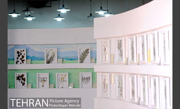 موزه گیاه شناسی دارآباد 25