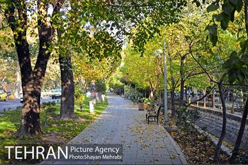 طبیعت پاییزی بلوار کشاورز 20