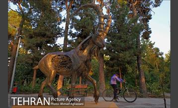 بوستان سهند 11