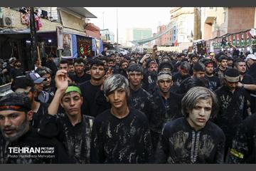 اربعین حسینی در کربلای معلی 42