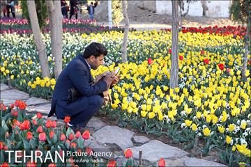 جشنواره لاله‌ها در بوستان زندگی محله هرندی 24