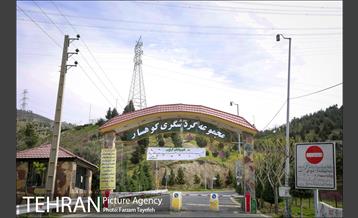 روز طبیعت در بوستان هاى منطقه ٥