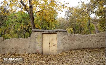 طبیعت پاییزی کوچه باغ‌های محله کن 14