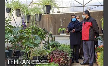 پویش سه شنبه های بدون خودرو در منطقه 8