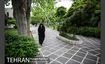 بوستان سیمرغ 13