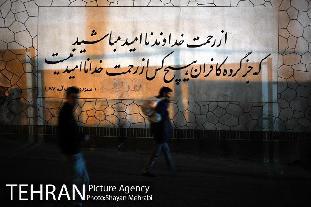 گرمخانه ها، دور از سرما 1