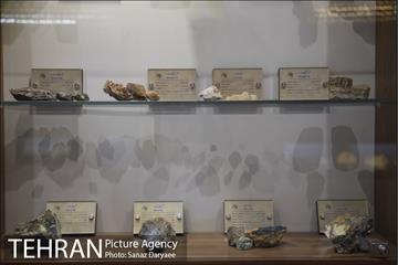 موزه طبیعت و حیات وحش ایران دارآباد‎ 15