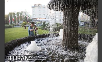 میدان شقایق‎ 12