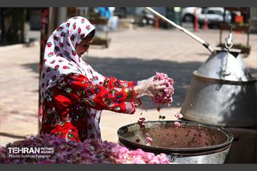 نوزدهمین جشنواره گل و گلاب تهران  17