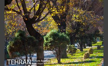 پاییز بلوار کشاورز 16