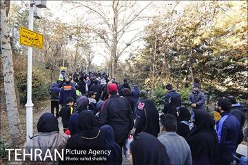 همایش بزرگ پیاده روی خانوادگی شهرداری تهران  9