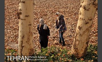 سومین رویداد هنری "پاییز برگ" در میدان مشق 52