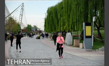 پیاده روی ۷۰۰ نفری در اراضی عباس آباد 14