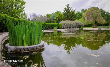 باغ گیاه‌شناسی 11