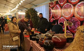 جشنواره انار در بوستان آب و آتش  16