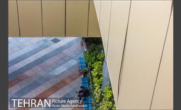 برج میلاد 29