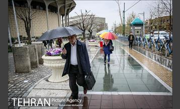 بارش باران بهاری در تهران 8
