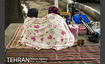 بوستان جنگلی لویزان 3