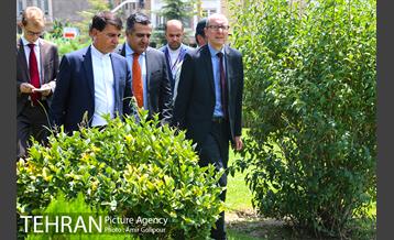 بازدید سفیر اتریش از میدان اتریش 9