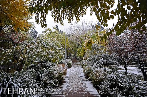 بارش برف پاییزی در بوستان طالقانی 8