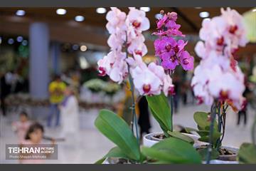 نوزدهمین نمایشگاه گل و گیاه تهران 20