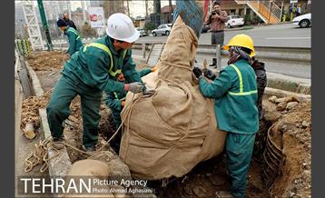 تلاش ویژه شهرداری برای نجات زندگی حدود یکصد درخت اتوبان نیایش 21