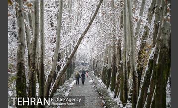 برف زمستانی پارک جمشیدیه 24
