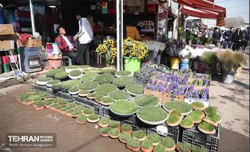 بازار گل شهید محلاتی در آخرین روزهاى سال 20
