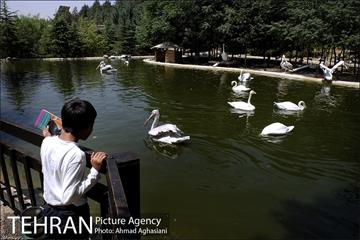 باغ پرندگان تهران 11