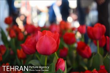 بازار گل شهید محلاتی در آستانه نوروز 5