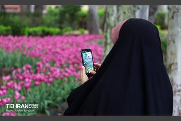 لاله‌ها میهمان باغ ایرانی 42