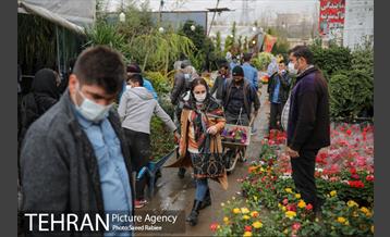 بازار گل و گیاه غرب تهران در آستانه نوروز 3