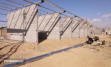 اینجا کارگاهه؛ بازار پرندگان خلیج فارس 21