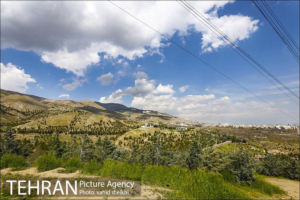 بوستان جنگلی کوهسار 17