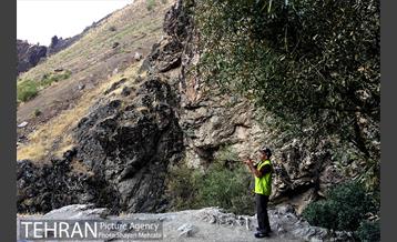 آخر هفته در ارتفاعات درکه 14