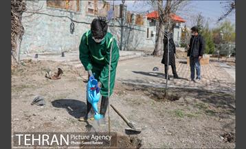 مراسم درختکاری به مناسبت یادبود همکاران جانباخته کرونا در شهرداری تهران 38