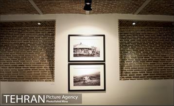 کافه و گالری ریرا  19