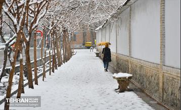 تهران برفی  8