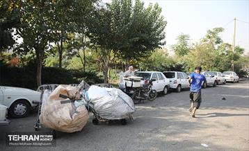 مرکز غیرمجاز جمع‌آوری پسماند 50