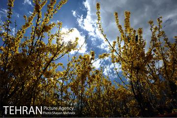 هوای پاک تهران 23