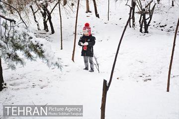 روز برفی تهران در بوستان ملت 26