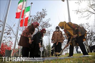 آیین کاشت نهال دوستی با حضور همسران دیپلمات مقیم ایران 24