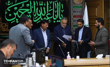 دیدار اعضای شورای عالی استان ها با شهردار