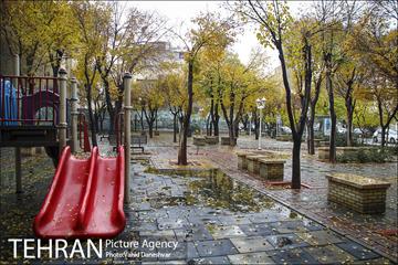 پاییز زیبای پایتخت- 4 9